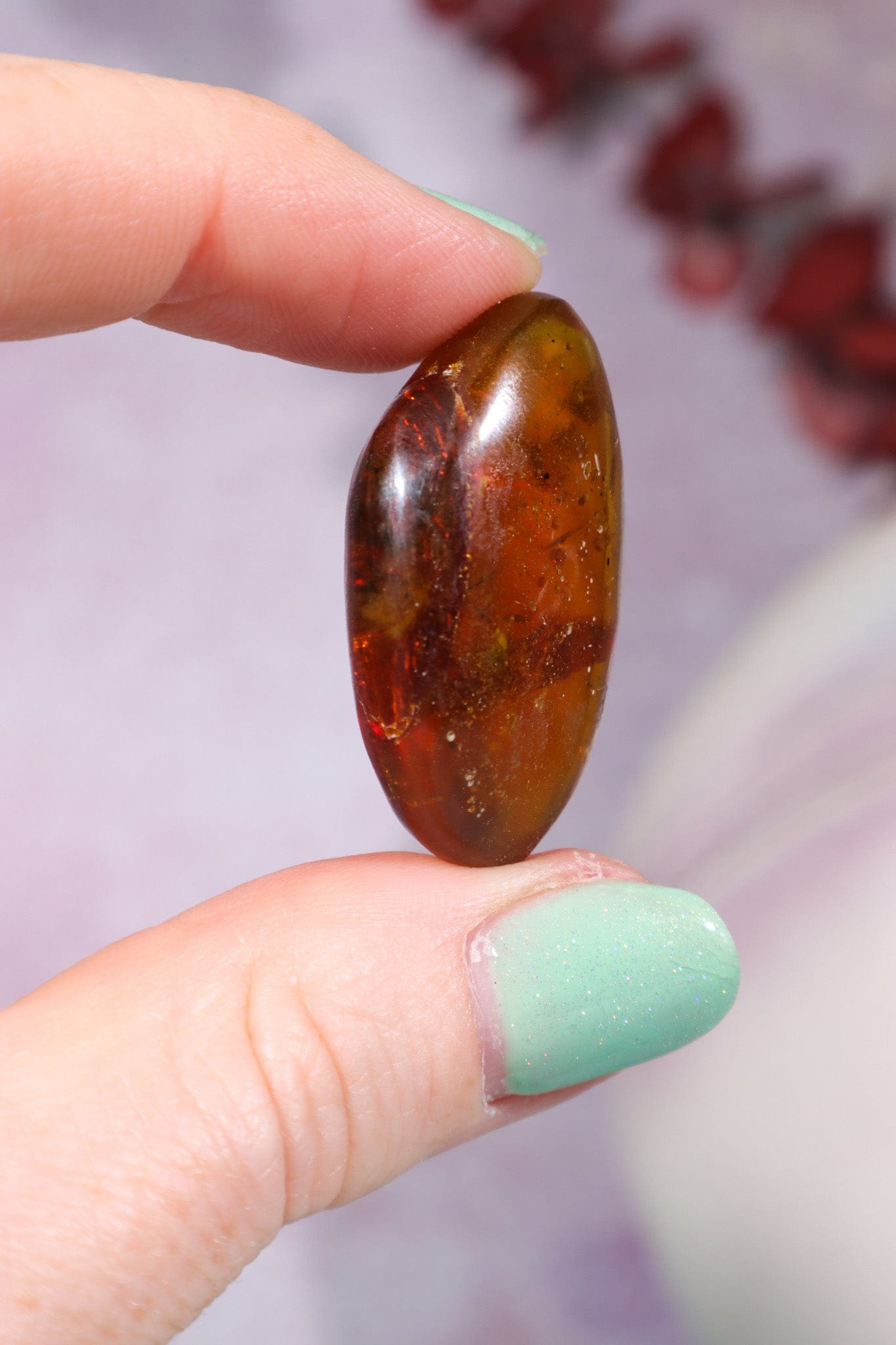 Baltic Amber With Insect 3.3cm Polished Crystals Tali & Loz Crystals