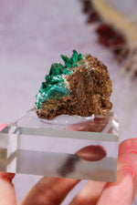 Barite on Malachite | 52mm | Shangulowe Mine, DR Congo Minerals Tali & Loz Crystals