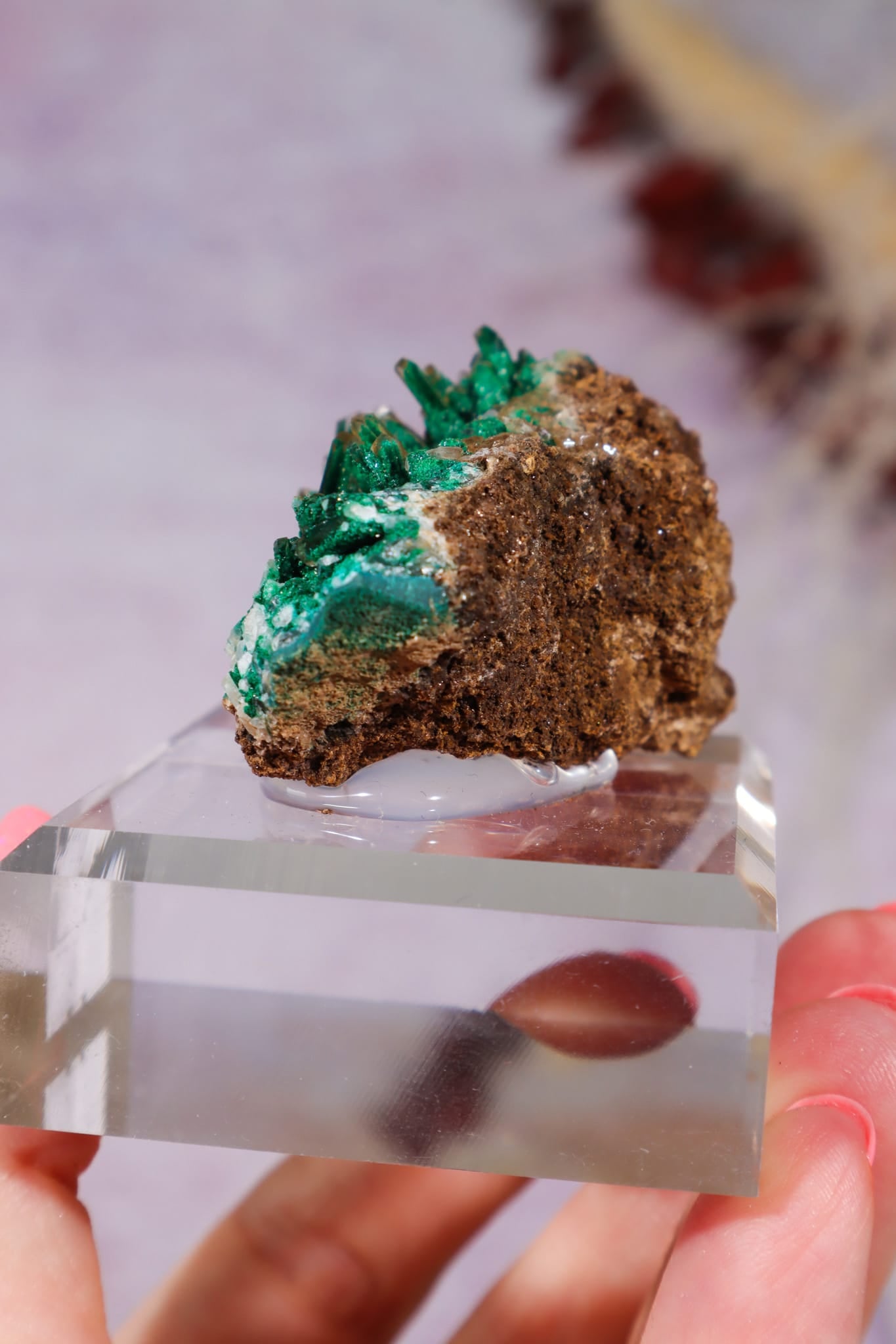 Barite on Malachite | 52mm | Shangulowe Mine, DR Congo Minerals Tali & Loz Crystals