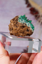 Barite on Malachite | 52mm | Shangulowe Mine, DR Congo Minerals Tali & Loz Crystals