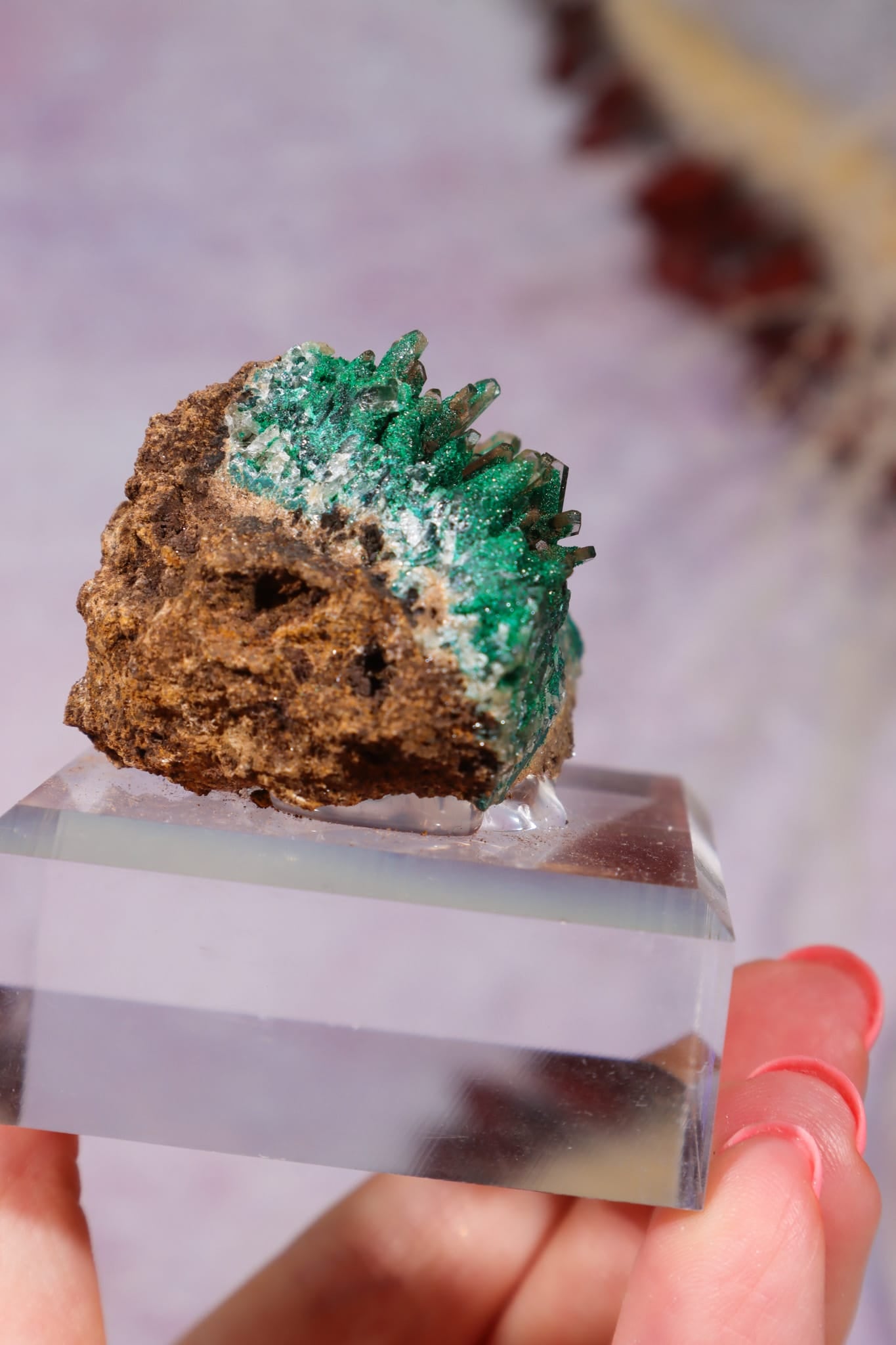 Barite on Malachite | 52mm | Shangulowe Mine, DR Congo Minerals Tali & Loz Crystals