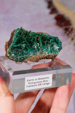 Barite on Malachite | 52mm | Shangulowe Mine, DR Congo Minerals Tali & Loz Crystals