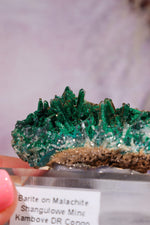 Barite on Malachite | 52mm | Shangulowe Mine, DR Congo Minerals Tali & Loz Crystals