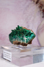 Barite on Malachite | 52mm | Shangulowe Mine, DR Congo Minerals Tali & Loz Crystals