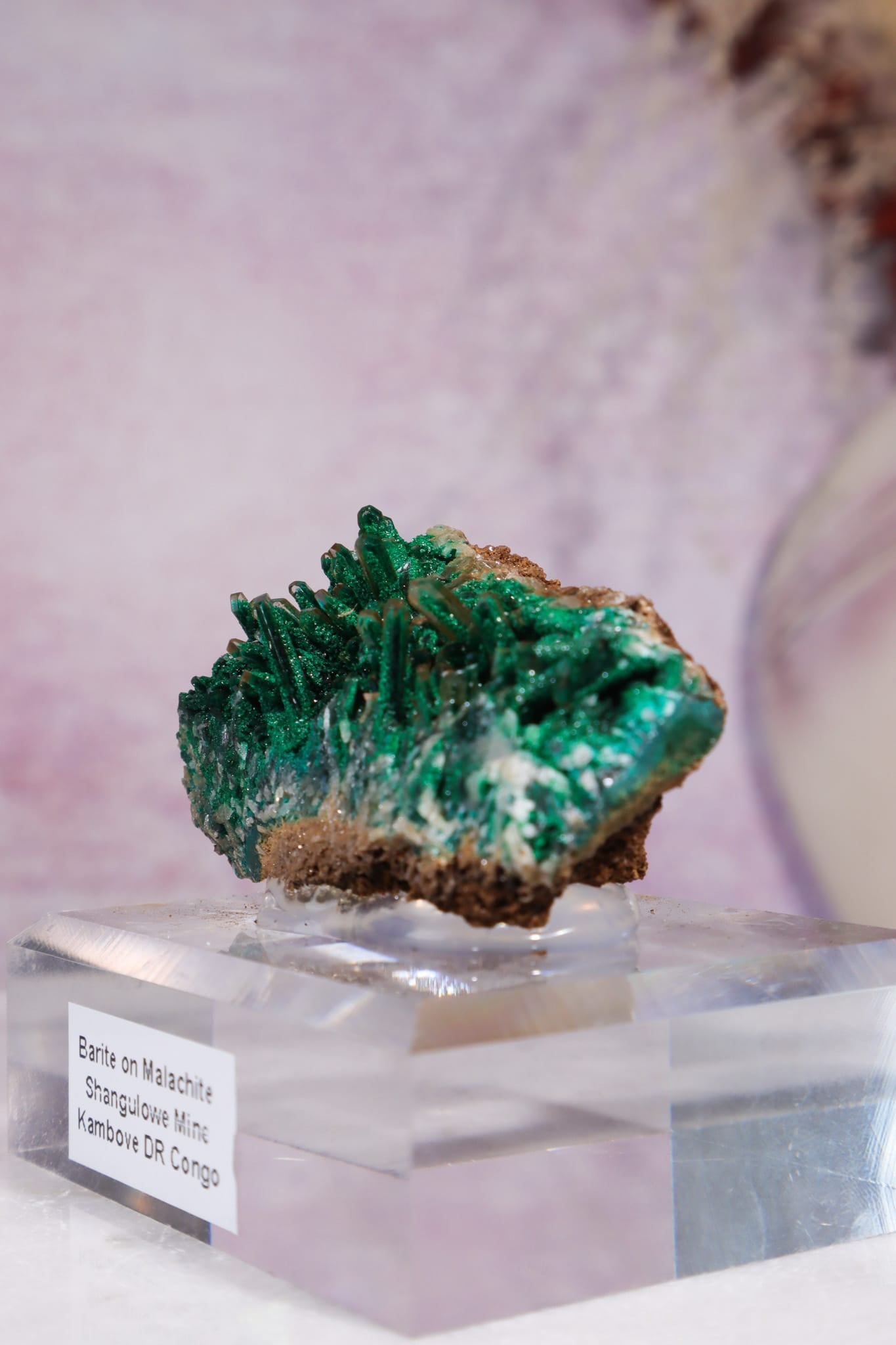 Barite on Malachite | 52mm | Shangulowe Mine, DR Congo Minerals Tali & Loz Crystals