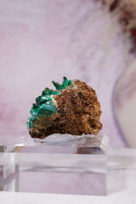 Barite on Malachite | 52mm | Shangulowe Mine, DR Congo Minerals Tali & Loz Crystals