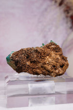 Barite on Malachite | 52mm | Shangulowe Mine, DR Congo Minerals Tali & Loz Crystals