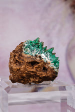 Barite on Malachite | 52mm | Shangulowe Mine, DR Congo Minerals Tali & Loz Crystals