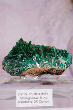 Barite on Malachite | 52mm | Shangulowe Mine, DR Congo Minerals Tali & Loz Crystals
