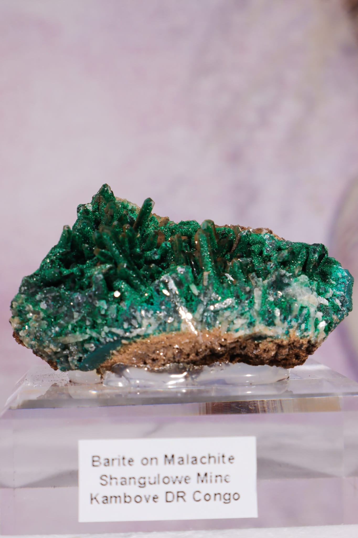 Barite on Malachite | 52mm | Shangulowe Mine, DR Congo Minerals Tali & Loz Crystals