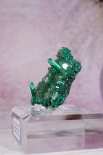 Barite on Malachite | 52mm | Shangulowe Mine, DR Congo Minerals Tali & Loz Crystals