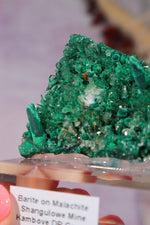Barite on Malachite | 52mm | Shangulowe Mine, DR Congo Minerals Tali & Loz Crystals