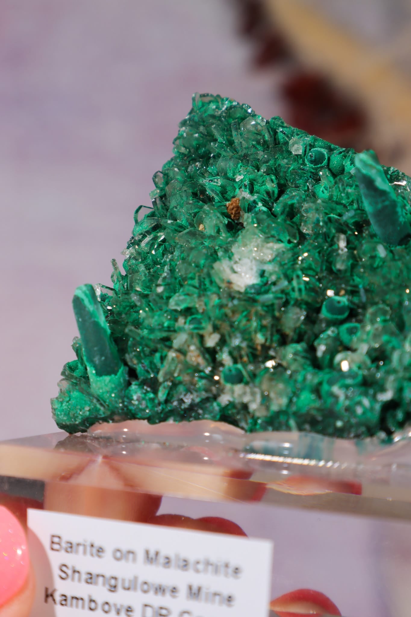 Barite on Malachite | 52mm | Shangulowe Mine, DR Congo Minerals Tali & Loz Crystals