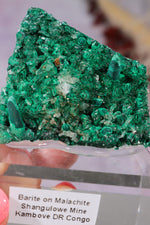 Barite on Malachite | 52mm | Shangulowe Mine, DR Congo Minerals Tali & Loz Crystals