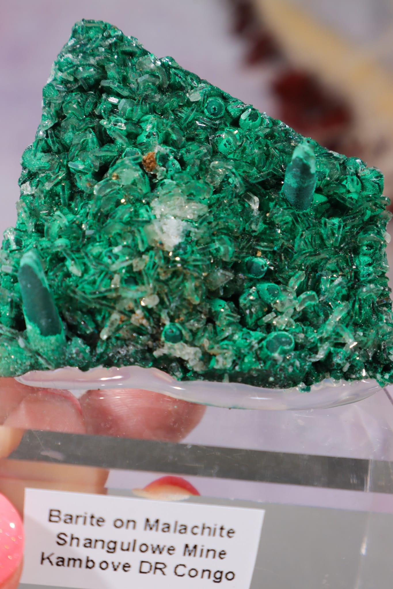 Barite on Malachite | 52mm | Shangulowe Mine, DR Congo Minerals Tali & Loz Crystals