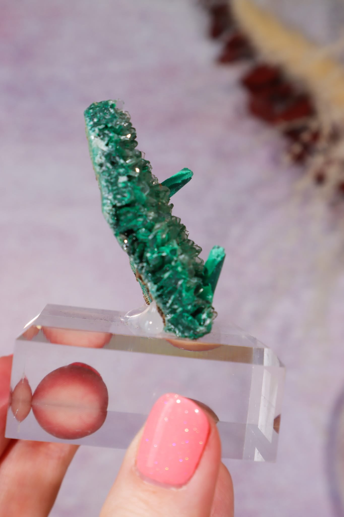Barite on Malachite | 52mm | Shangulowe Mine, DR Congo Minerals Tali & Loz Crystals