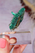 Barite on Malachite | 52mm | Shangulowe Mine, DR Congo Minerals Tali & Loz Crystals