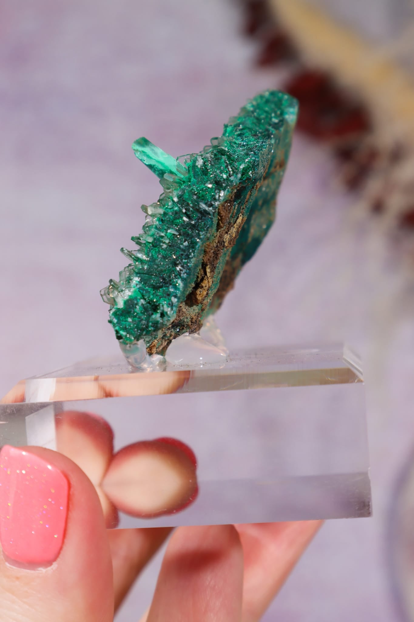 Barite on Malachite | 52mm | Shangulowe Mine, DR Congo Minerals Tali & Loz Crystals