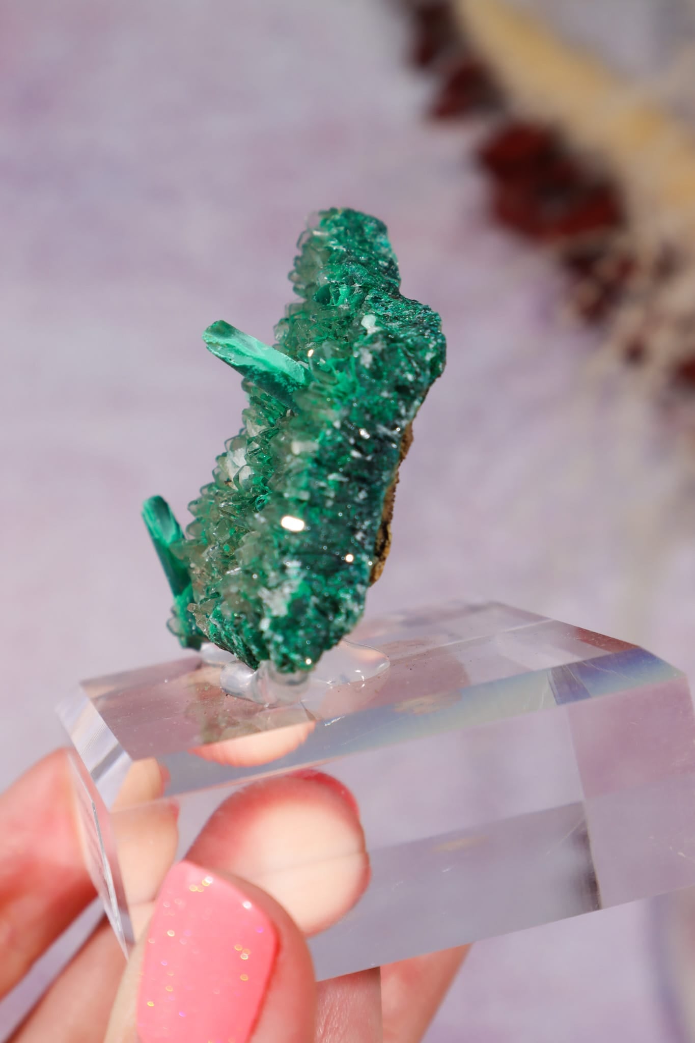 Barite on Malachite | 52mm | Shangulowe Mine, DR Congo Minerals Tali & Loz Crystals