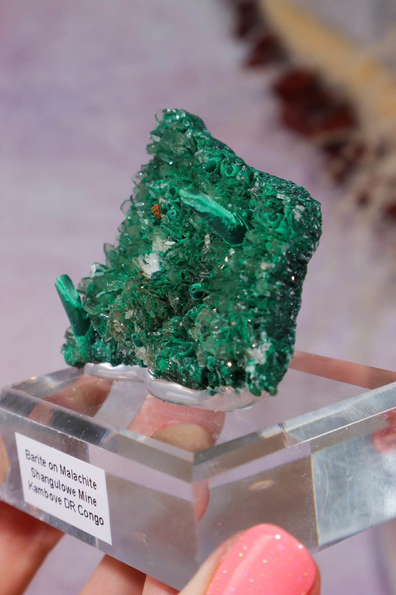 Barite on Malachite | 52mm | Shangulowe Mine, DR Congo Minerals Tali & Loz Crystals