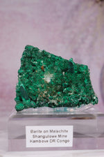 Barite on Malachite | 52mm | Shangulowe Mine, DR Congo Minerals Tali & Loz Crystals