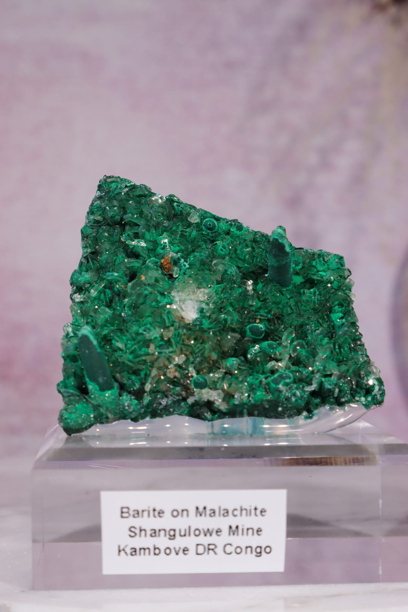Barite on Malachite | 52mm | Shangulowe Mine, DR Congo Minerals Tali & Loz Crystals