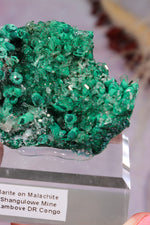 Barite on Malachite | 66mm | Shangulowe Mine, DR Congo Minerals Tali & Loz Crystals