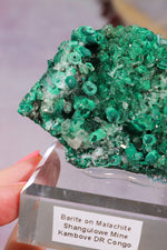 Barite on Malachite | 66mm | Shangulowe Mine, DR Congo Minerals Tali & Loz Crystals