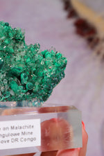Barite on Malachite | 66mm | Shangulowe Mine, DR Congo Minerals Tali & Loz Crystals