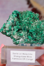 Barite on Malachite | 66mm | Shangulowe Mine, DR Congo Minerals Tali & Loz Crystals