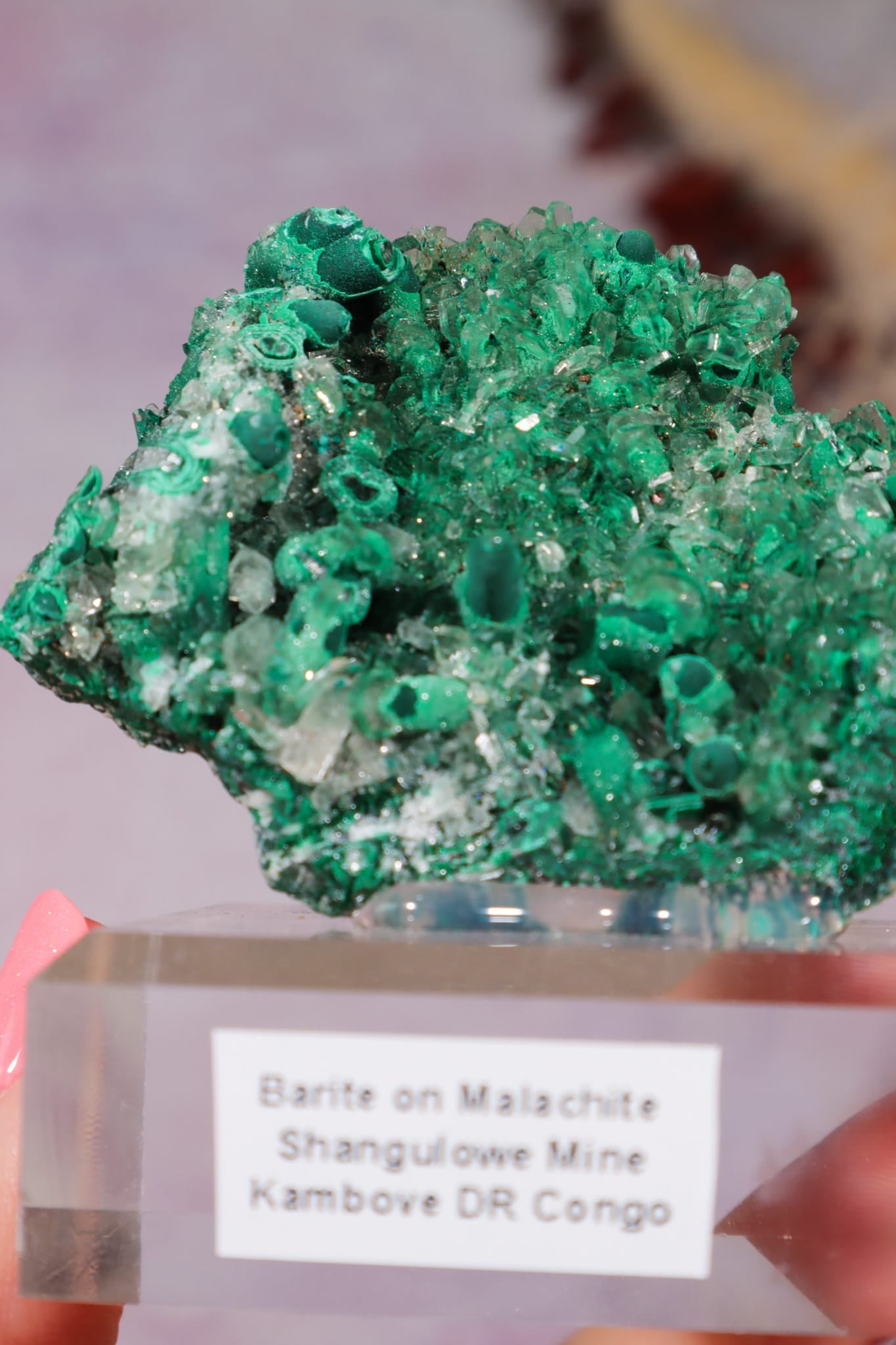 Barite on Malachite | 66mm | Shangulowe Mine, DR Congo Minerals Tali & Loz Crystals