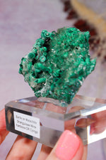 Barite on Malachite | 66mm | Shangulowe Mine, DR Congo Minerals Tali & Loz Crystals