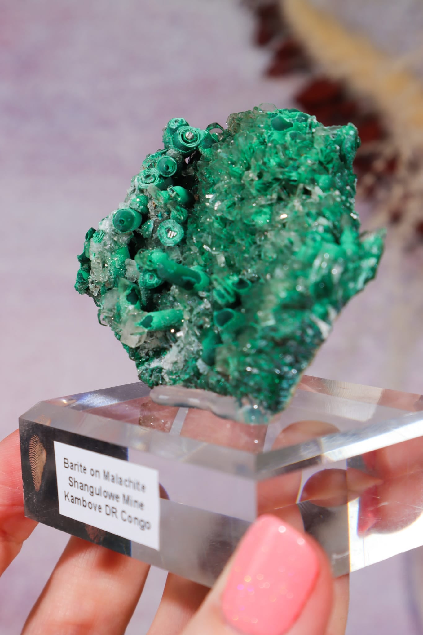 Barite on Malachite | 66mm | Shangulowe Mine, DR Congo Minerals Tali & Loz Crystals