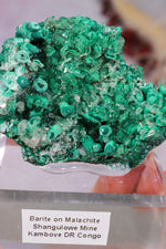 Barite on Malachite | 66mm | Shangulowe Mine, DR Congo Minerals Tali & Loz Crystals