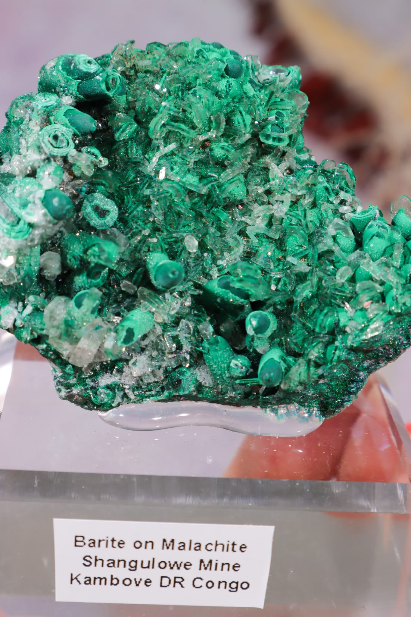 Barite on Malachite | 66mm | Shangulowe Mine, DR Congo Minerals Tali & Loz Crystals