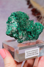 Barite on Malachite | 66mm | Shangulowe Mine, DR Congo Minerals Tali & Loz Crystals