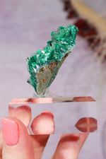 Barite on Malachite | 66mm | Shangulowe Mine, DR Congo Minerals Tali & Loz Crystals