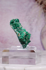 Barite on Malachite | 66mm | Shangulowe Mine, DR Congo Minerals Tali & Loz Crystals