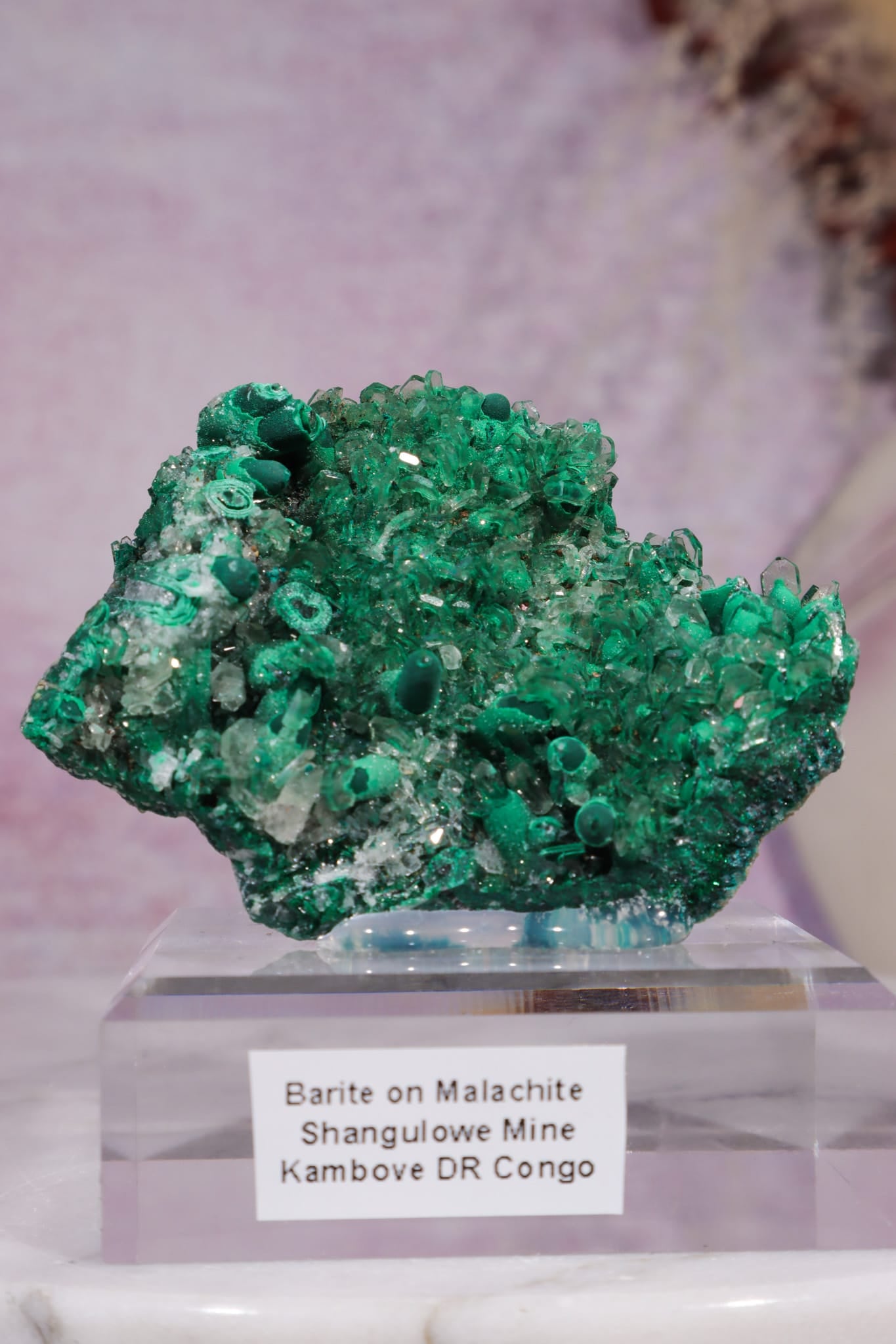 Barite on Malachite | 66mm | Shangulowe Mine, DR Congo Minerals Tali & Loz Crystals