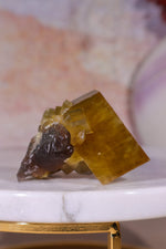 Baryte on Fluorite | 52mm | Sold As Seen Minerals Tali & Loz