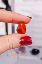 Beginner Crystal set Tali & Loz Crystals