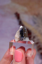 Bi-Colour Tourmaline Crystal | 45mm | Brazil Minerals Tali & Loz Crystals