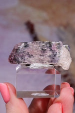 Bi-Colour Tourmaline Crystal | 45mm | Brazil Minerals Tali & Loz Crystals