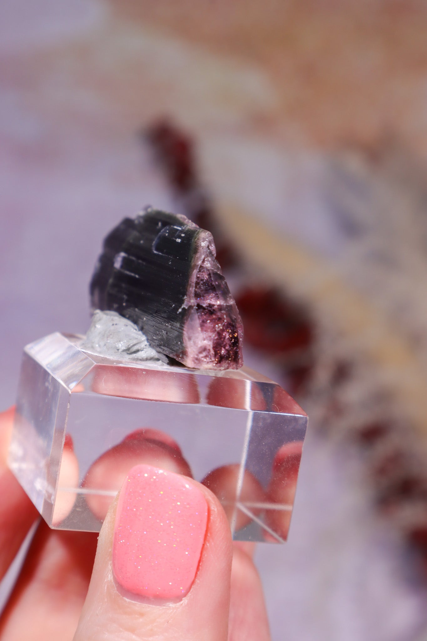 Bi-Colour Tourmaline Crystal | 45mm | Brazil Minerals Tali & Loz Crystals
