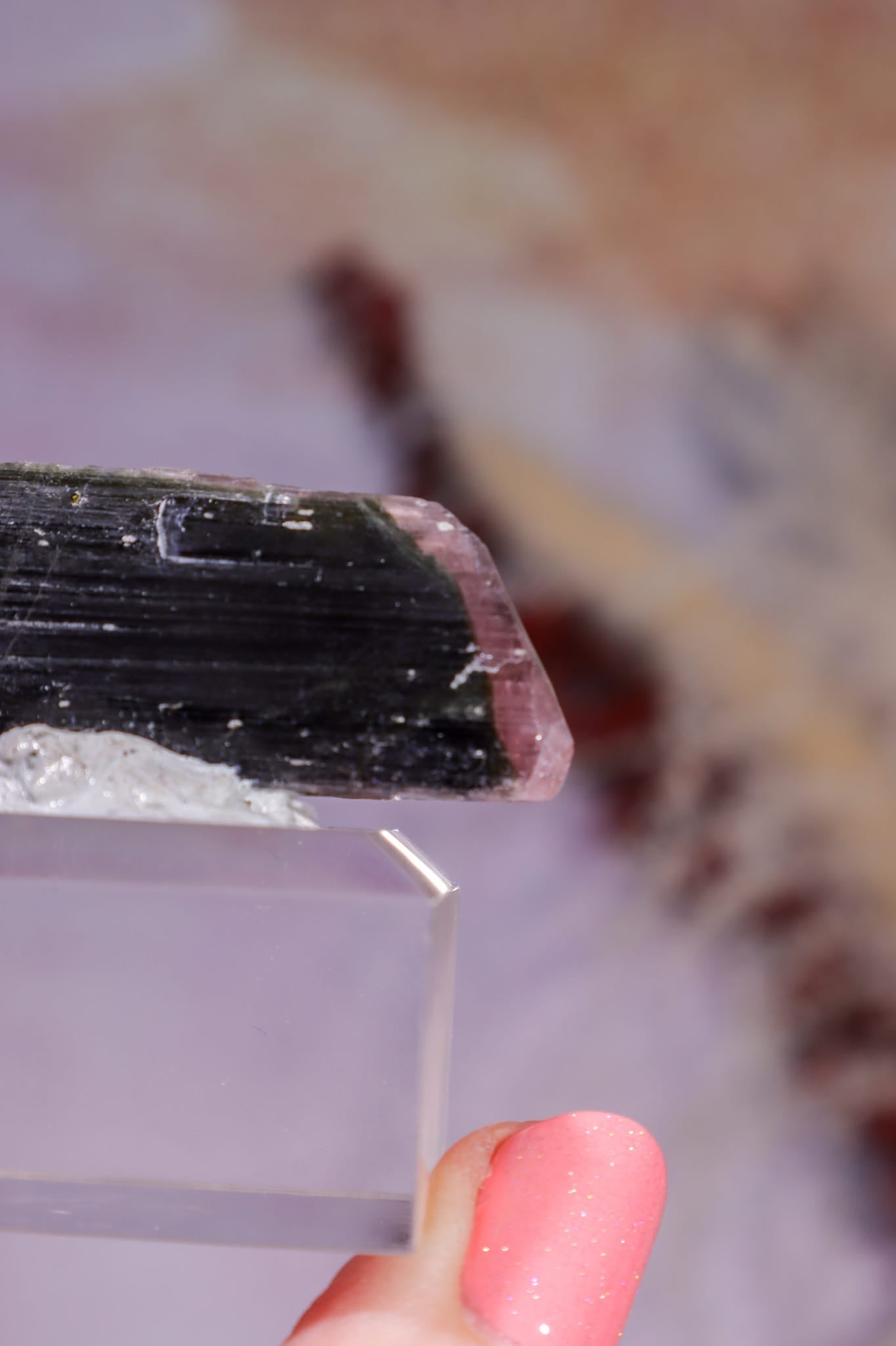 Bi-Colour Tourmaline Crystal | 45mm | Brazil Minerals Tali & Loz Crystals
