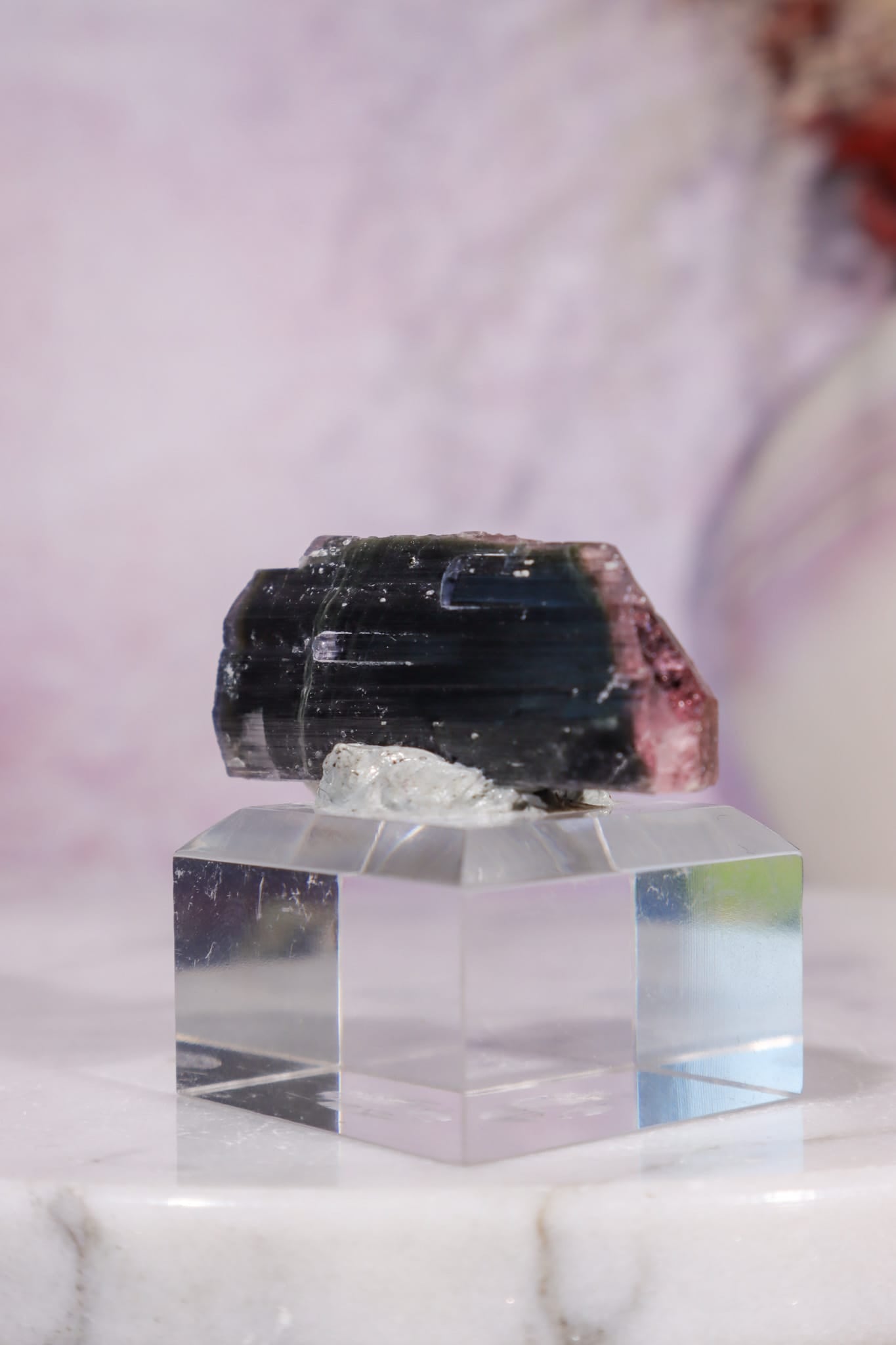 Bi-Colour Tourmaline Crystal | 45mm | Brazil Minerals Tali & Loz Crystals
