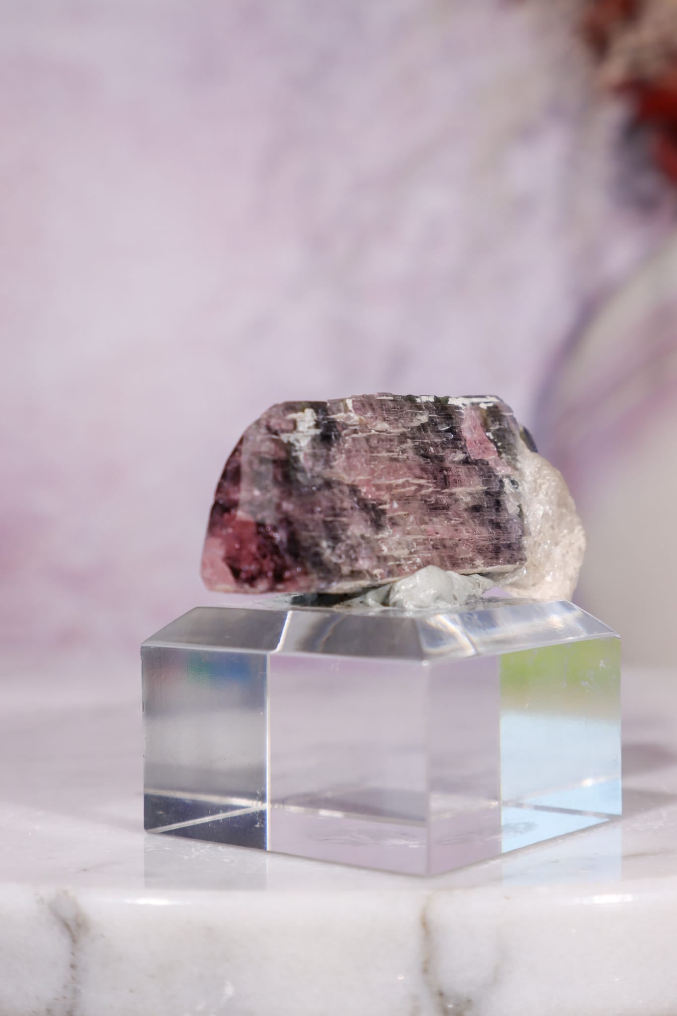 Bi-Colour Tourmaline Crystal | 45mm | Brazil Minerals Tali & Loz Crystals