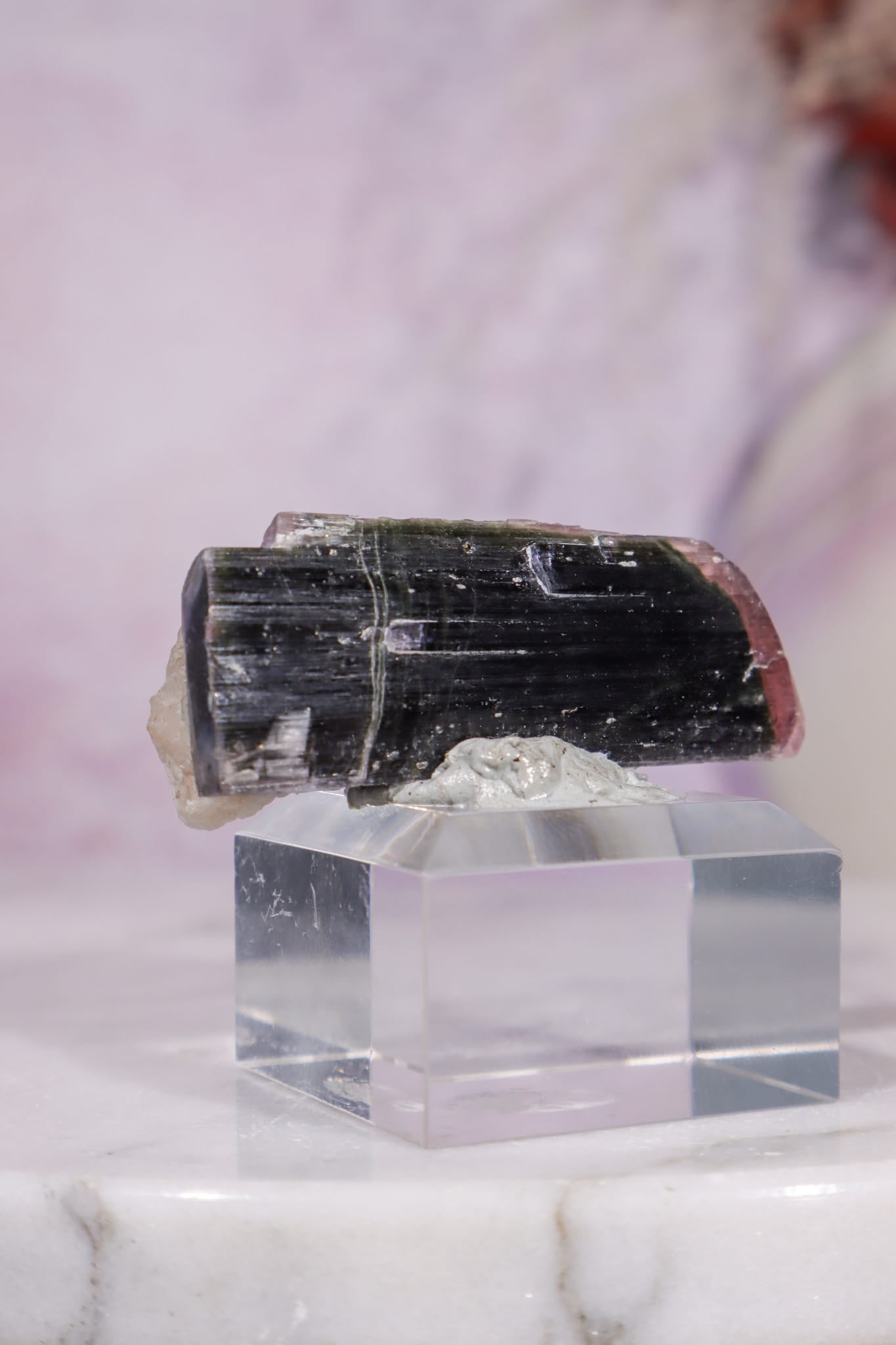 Bi-Colour Tourmaline Crystal | 45mm | Brazil Minerals Tali & Loz Crystals