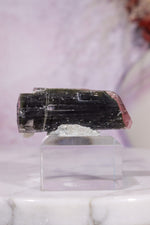 Bi-Colour Tourmaline Crystal | 45mm | Brazil Minerals Tali & Loz Crystals