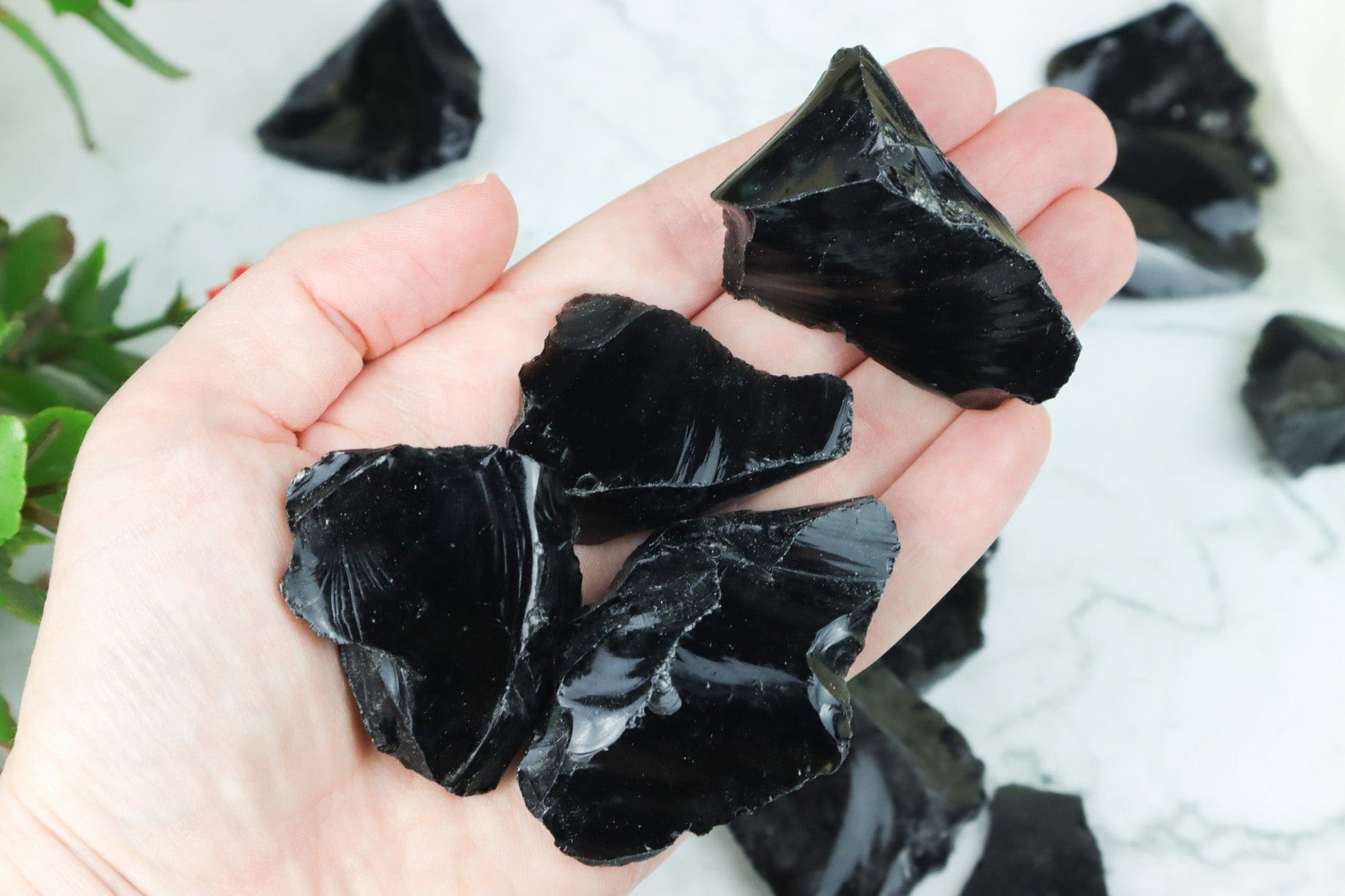 Black Obsidian Rough Pieces - Protection/Emotional Support Rough Crystals Tali & Loz
